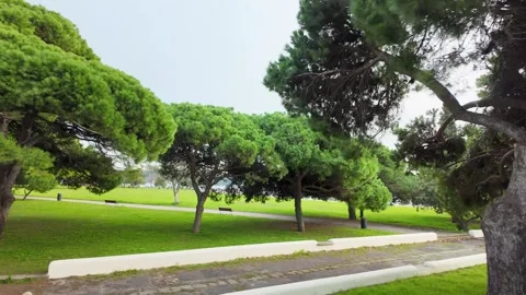 Serene Park View in Lisbon Stock Footage 258058610
