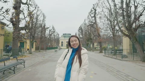 Serene Park Walk in Winter Stock Footage 335588229