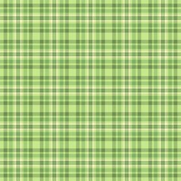 Serene pastel green plaid pattern.  Perfect for textile design, website backg Stock Illustration