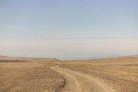 The Serene Path: A Rustic Dirt Road Through the Georgia Fields Stock Photos