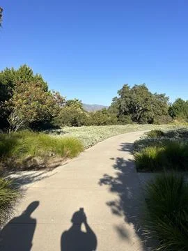 Serene Path Through Lush Greenery on a Bright Sunny Day Foto stock