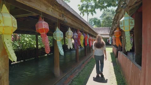 Serene Pathway with Lanterns in a Tranquil Setting Stock Footage 333448161
