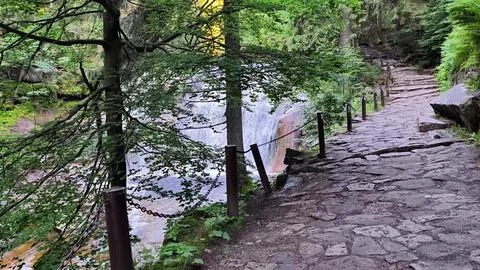 A Serene Pathway Located Next to a Flowing Waterfall in a Lush Forest Stock Photos