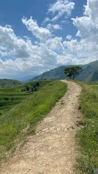 Serene Pathway Stock Photos