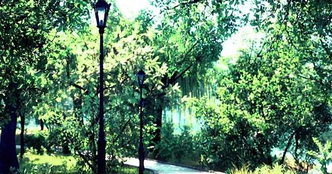 Serene pathway surrounded by lush greenery and vintage street lamps in daylig Stock Illustration