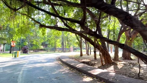 Serene Pathway in Thai Zoo Vídeos de archivo 326614866