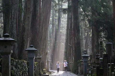 Serene Pathway Through Ancient Forest with Traditional Lanterns Stock Photos