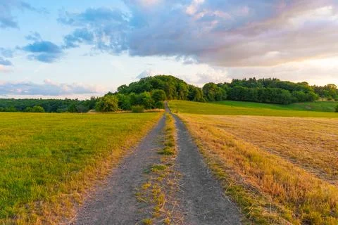 Serene Pathway Through Lush Fields in Germany at Sunset 스톡 사진