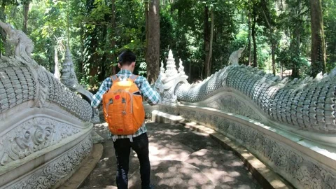 Serene Pathway Through Lush Greenery and Traditional Architecture Stock Footage 314455989