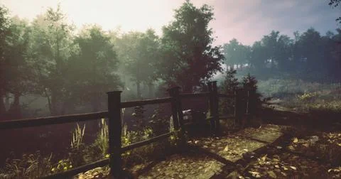 Serene pathway through a misty forest during early morning light Stock Illustration