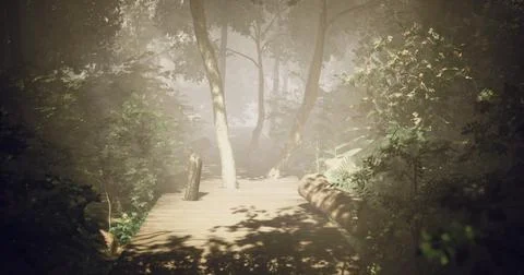 Serene pathway through a misty forest leading to tranquil waters Stock Illustration
