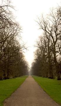 A serene pathway through a park lined with bare trees on both sides, leading  Stock Photos
