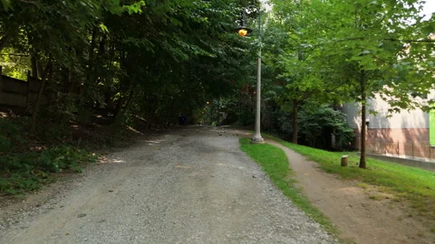 A Serene Pathway That Winds Through Lush Greenery Along a Peaceful Gravel Trail Stock Footage 297528017