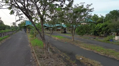 Serene Paved Path Flanked by Verdant Trees Leading Towards Distant Teal-Roo.. Stock Footage 339032083