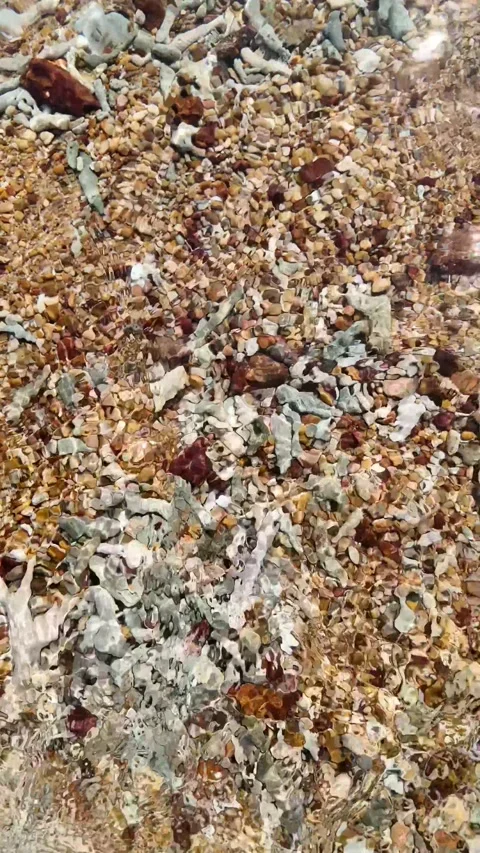 Serene Pebble Stream   Relaxing Nature HD Stock Footage 264814472