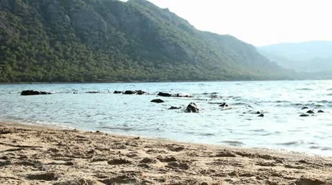 Serene people Stock Footage 10563835