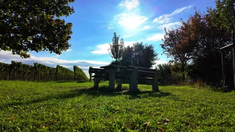 Serene Picnic Spot Surrounded by Lush Greenery and Vineyards in the Golden Stock Footage 287831394