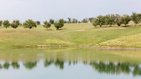 Serene pond reflects distant trees under clear sky Stock Photos