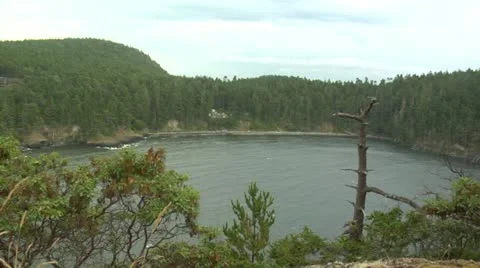 Serene Pond View Stock Footage 11856668