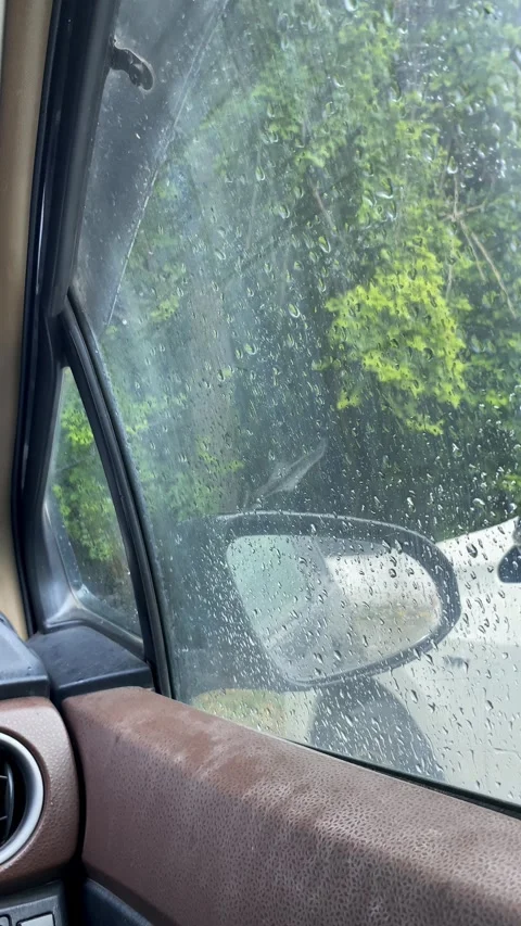 Serene Raindrops on Car Window Stock Footage 331894000