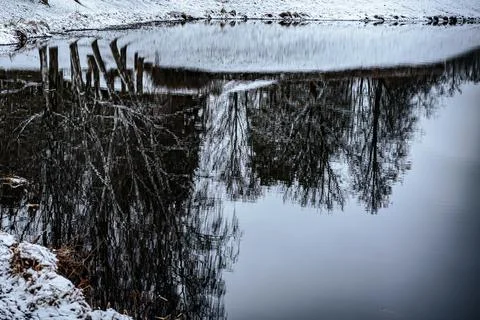 A serene reflection of bare trees and a building. 写真素材