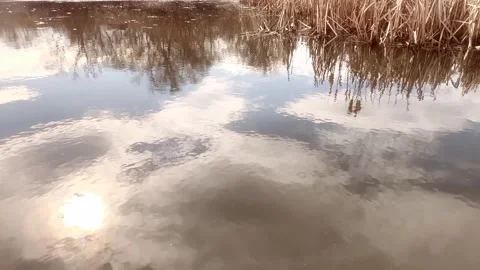 Serene Reflection of Blue Skies and Reeds on Calm Water Surface Stockbeeldmateriaal 304547010