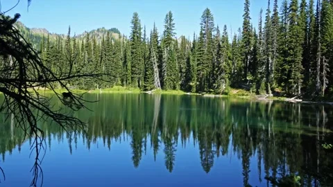 Serene Reflection of Evergreen Forest in a Tranquil Mountain Lake on the Palisad Stock Footage 332089981