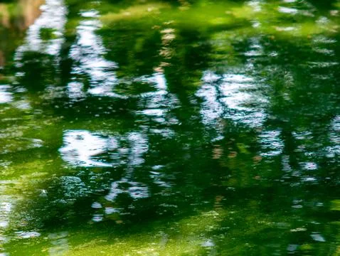 Serene Reflection of Green Trees and White Clouds on Calm Water Surface in .. Stock Photos