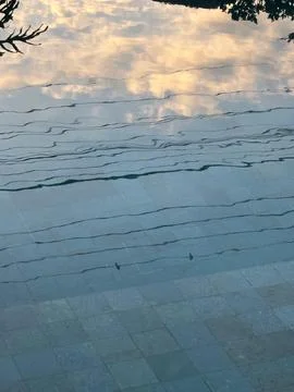 Serene reflection in the pool Stock Photos