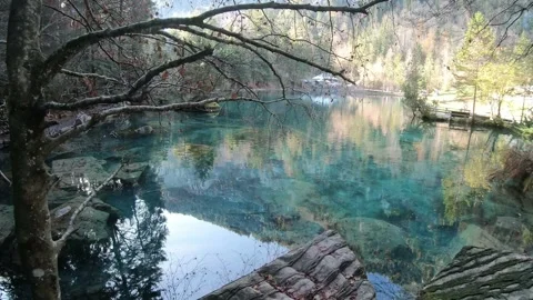 Serene Reflection of Trees in Crystal Clear Lake Stock Footage 314616265