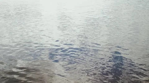 Serene Reflections on the Calm Surface of Water, Evoking Peace and Tranquility Stock-Footage 309866727