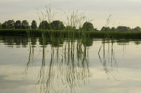 Serene Reflections Stock Photos