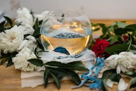 Serene Reflections Stock Photos