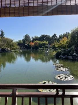 Serene Reflections in a Tranquil Garden Setting on a Sunny Day Stock Photos
