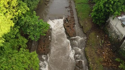 Serene River After the Rains Stock Footage 259698676