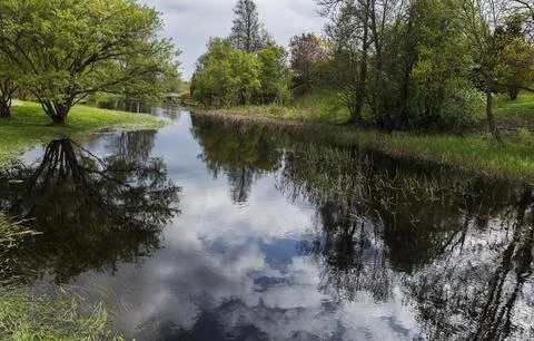 A serene river bordered by lush trees and grass reflecting the sky Stock Photos