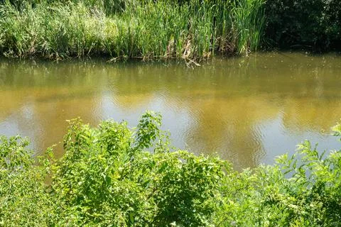 Serene river closeup Stock Photos