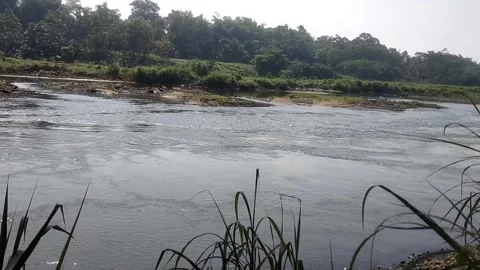 The Serene River Confluence Vídeos de archivo 337879632