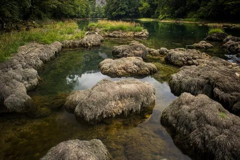 Serene River Elegance Stock Photos