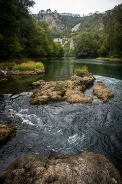 Serene River Elegance Stock Photos