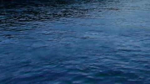 Serene River Flow Animation Video stock 307896912