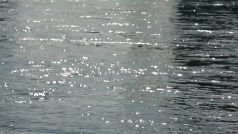 Serene River Flow Animation Loop Stock Footage 307896896