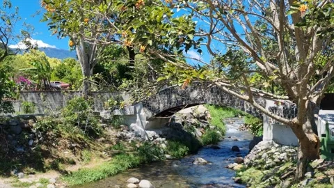 Serene river flowing through Boquete park in Panama Stock Footage 343787145