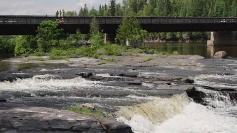 Serene River Flowing Through Forest with Railway Bridge Overhead Stock Footage 264074905
