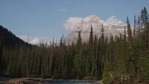 Serene River Flowing Through Forested Mountain Landscape Stock Footage 255627110