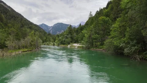 Serene River Flowing Through Green Forest Stock Footage 293481915