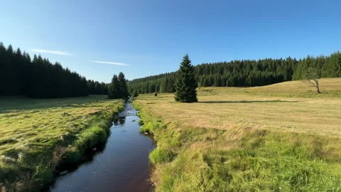 Serene River Flowing Through a Green Valley Stock Footage 303169433