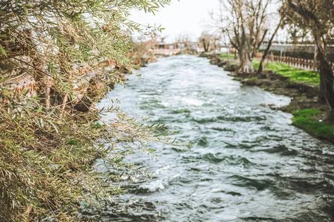 Serene river flowing through leafy riverbank with winter trees Fotos Stock