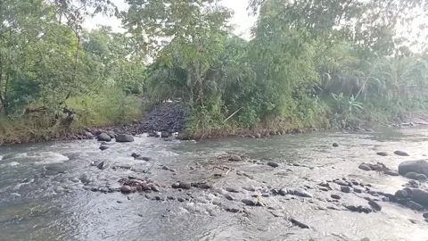 Serene River Flowing Through Lush Forest Stock Footage 288437838