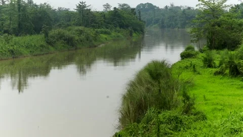 Serene river flowing through lush green tropical landscape Stock Footage 337928386